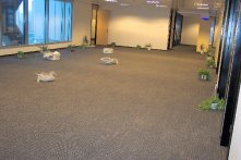 Camass access floor Case Study Photo, Stock Exchange, China